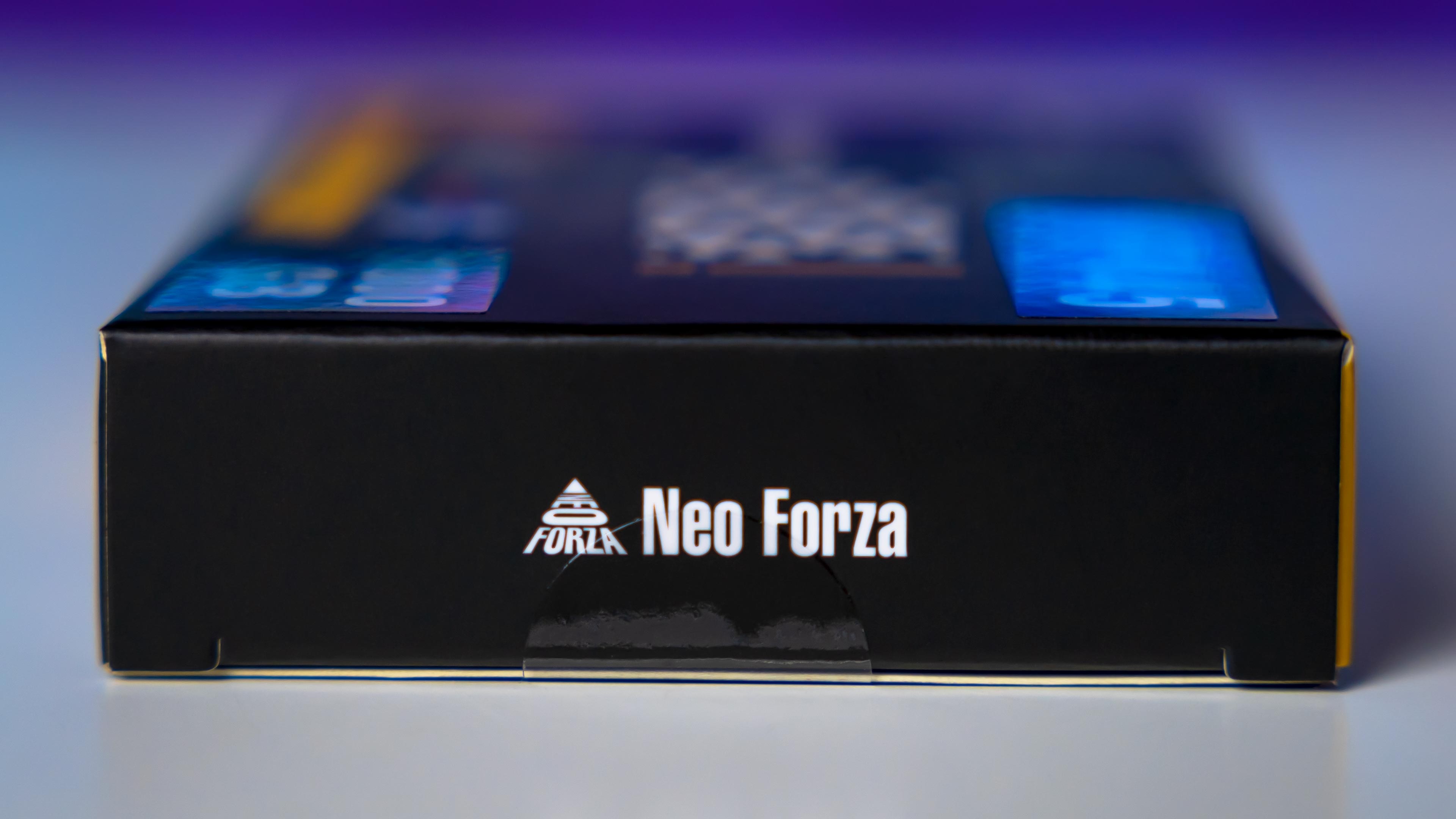 Neo Forza NFP445 1TB Gen4 Box (6)