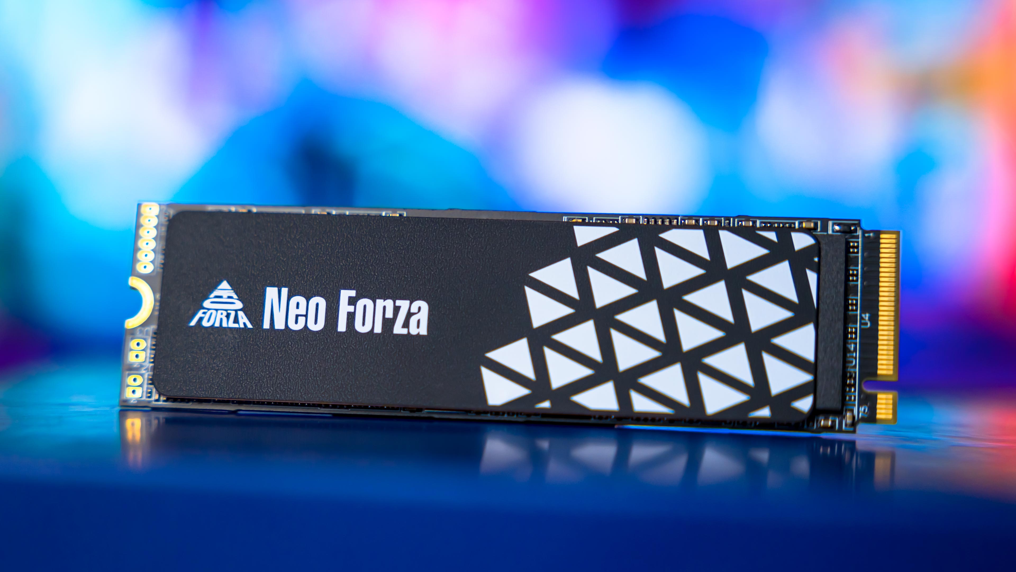 Neo Forza NFP445 1TB Gen4 M.2 SSD (1)