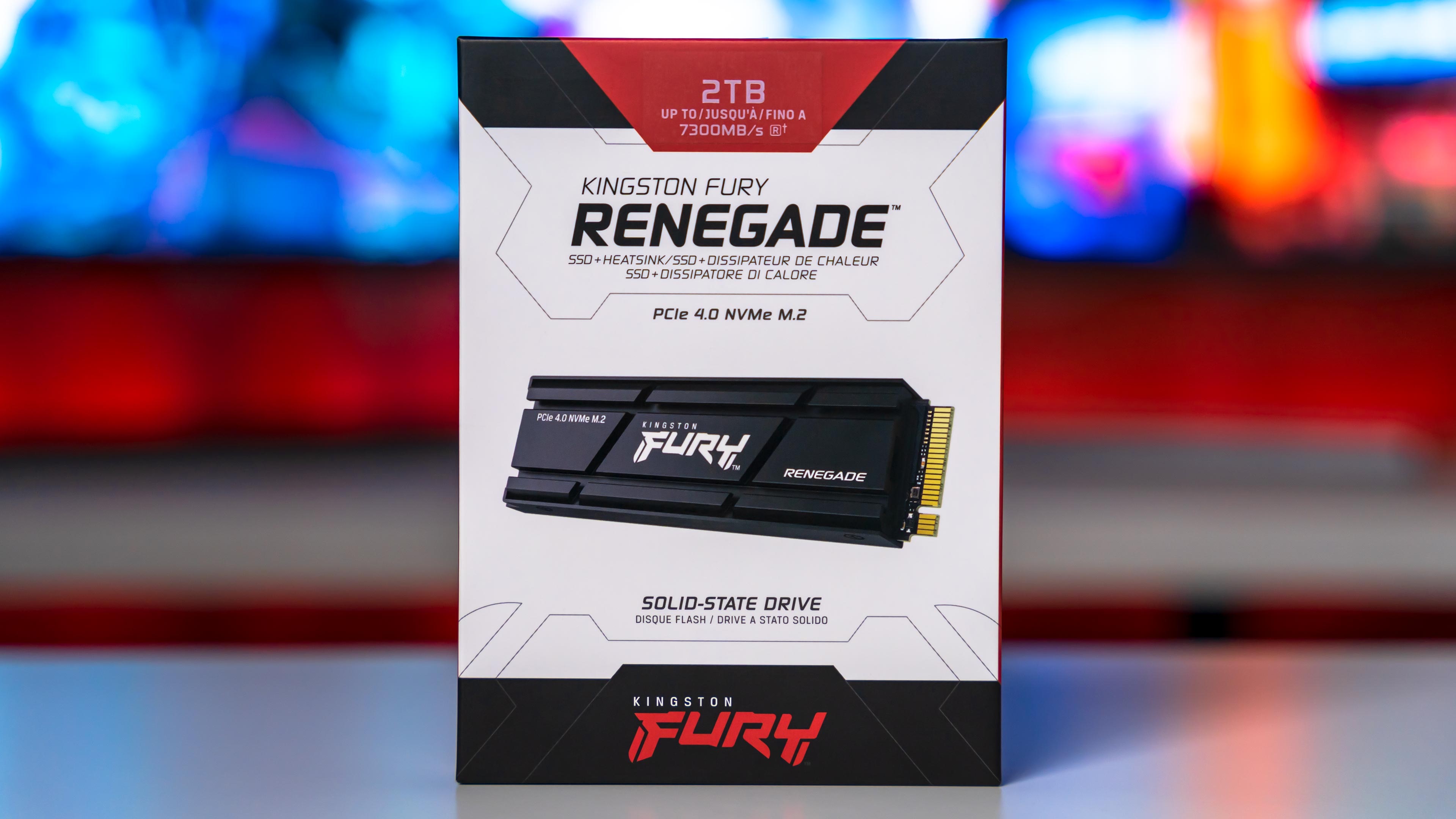 Kingston Fury Renegade 2TB Heatsink Box (1)