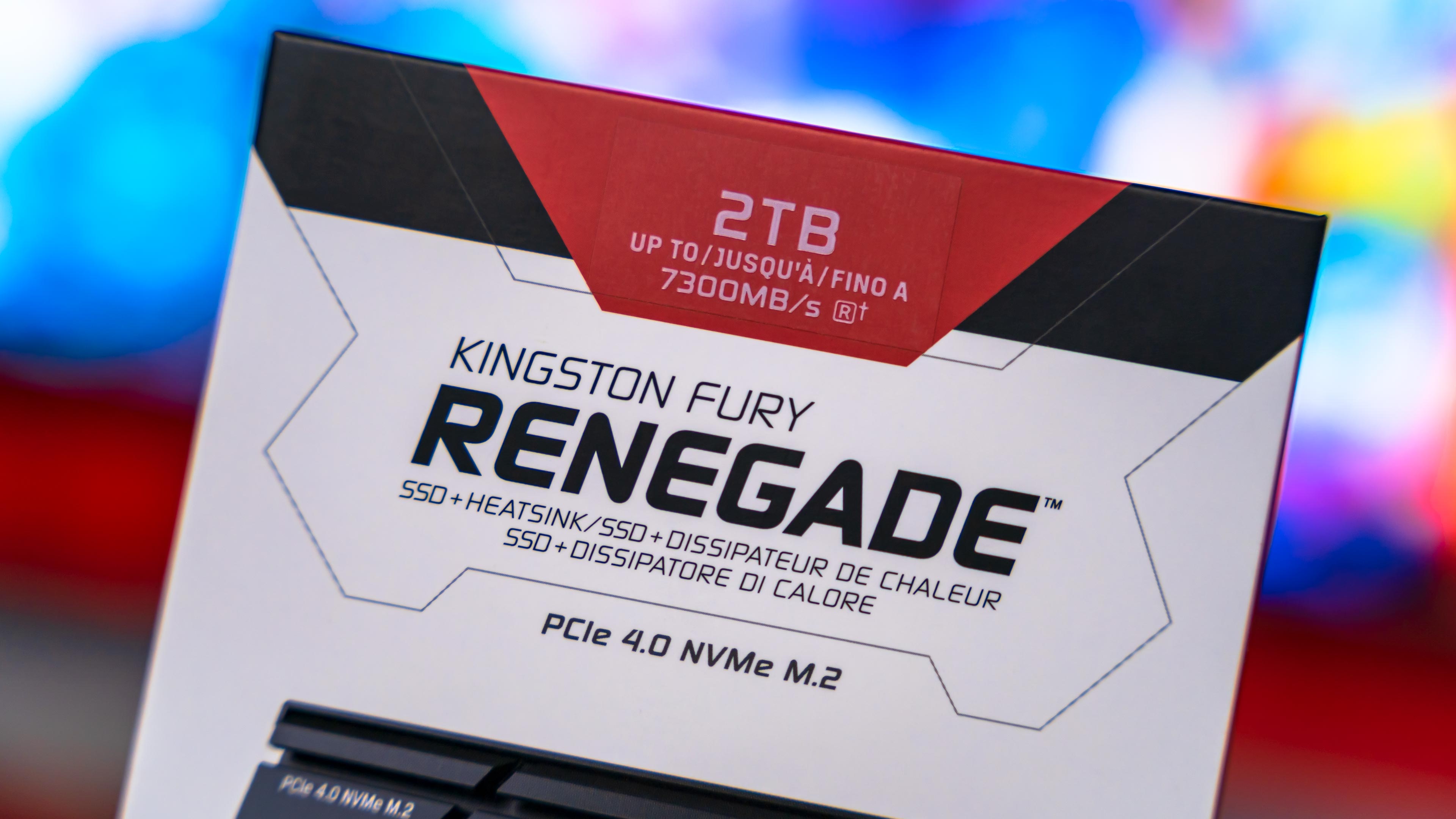Kingston Fury Renegade 2TB Heatsink Box (2)
