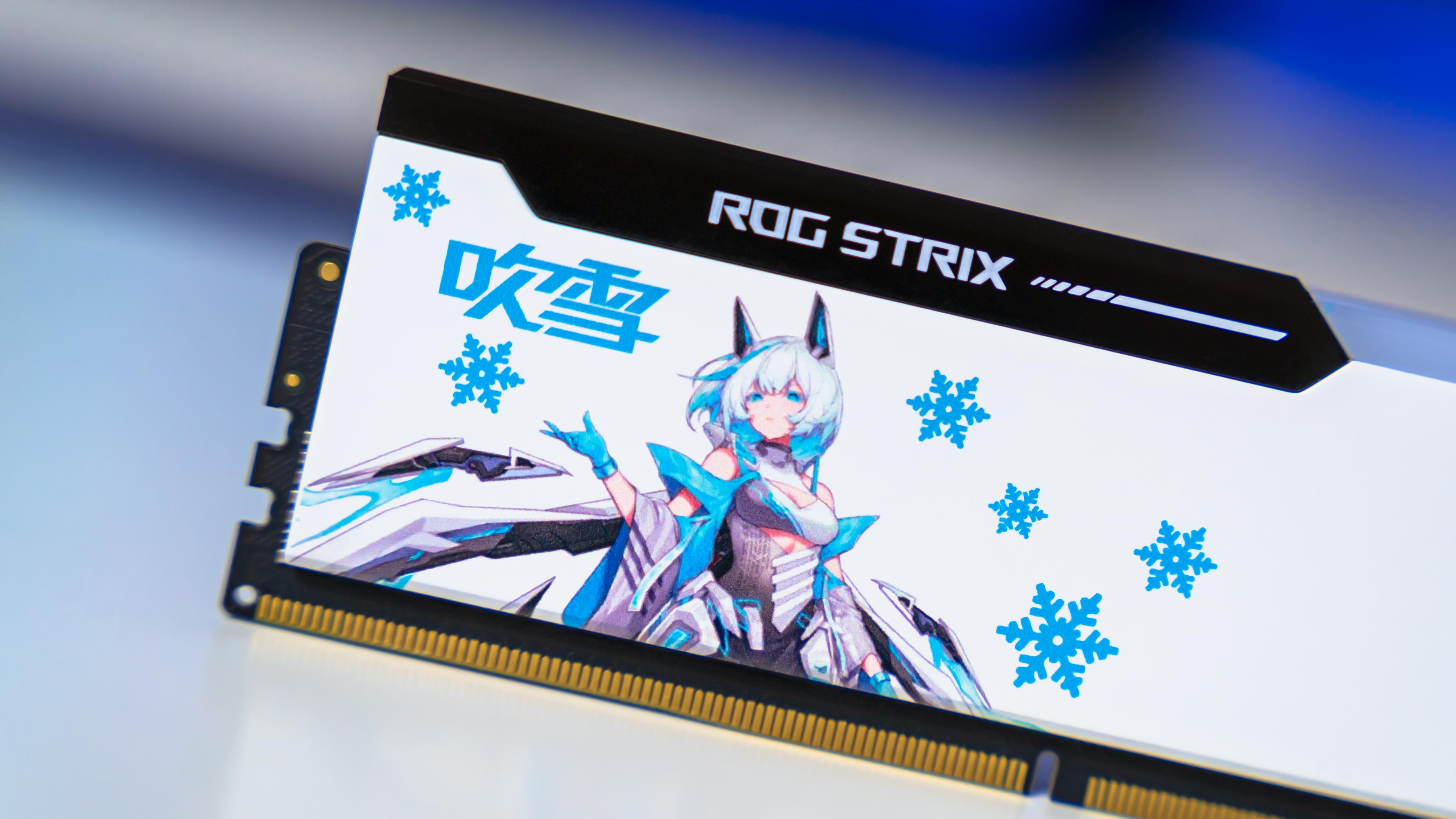 Asgard Bargi ROG STRIX RGB DDR5 6400Mhz Memory (10)