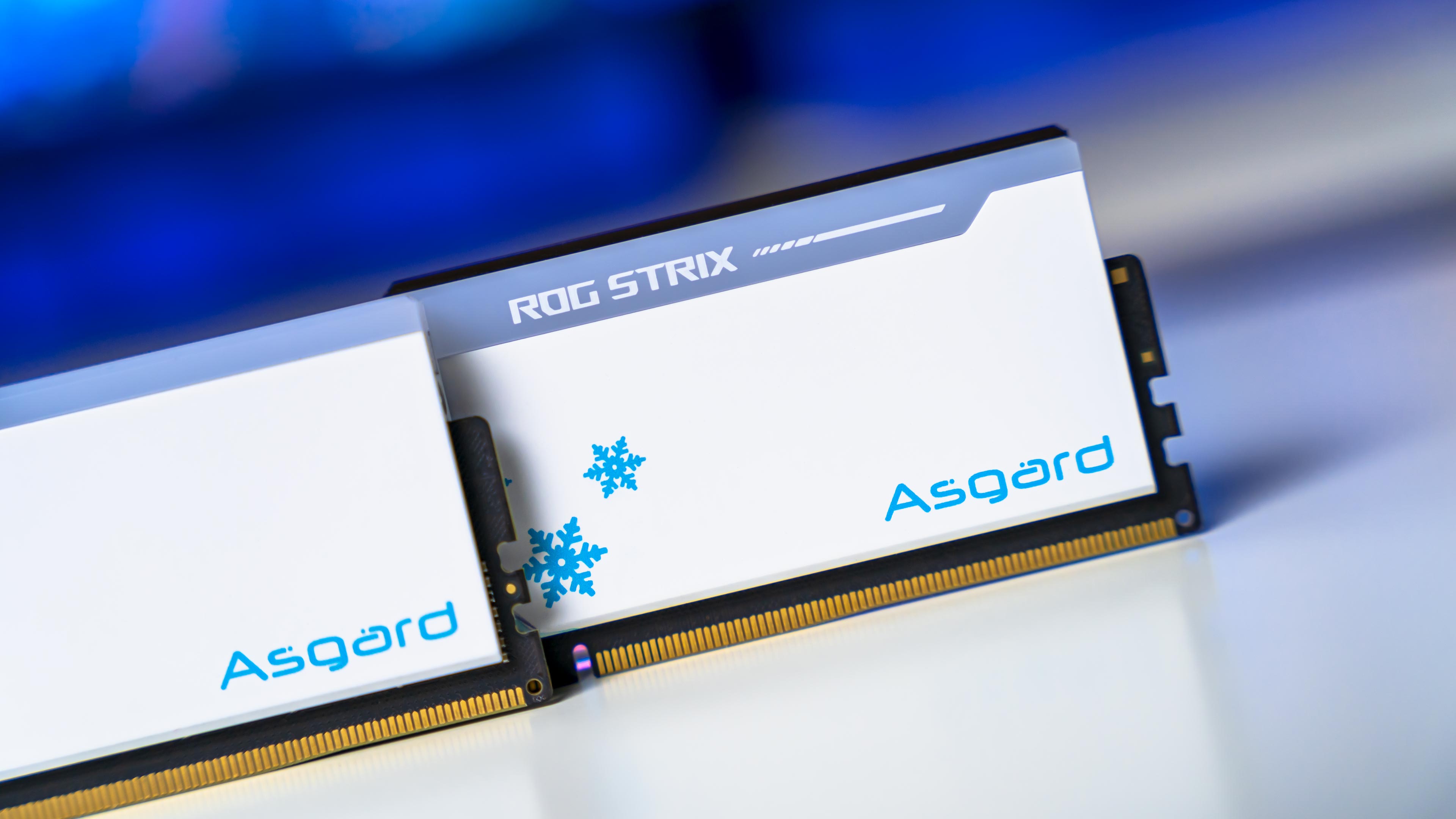 Asgard Bargi ROG STRIX RGB DDR5 6400Mhz Memory (11)
