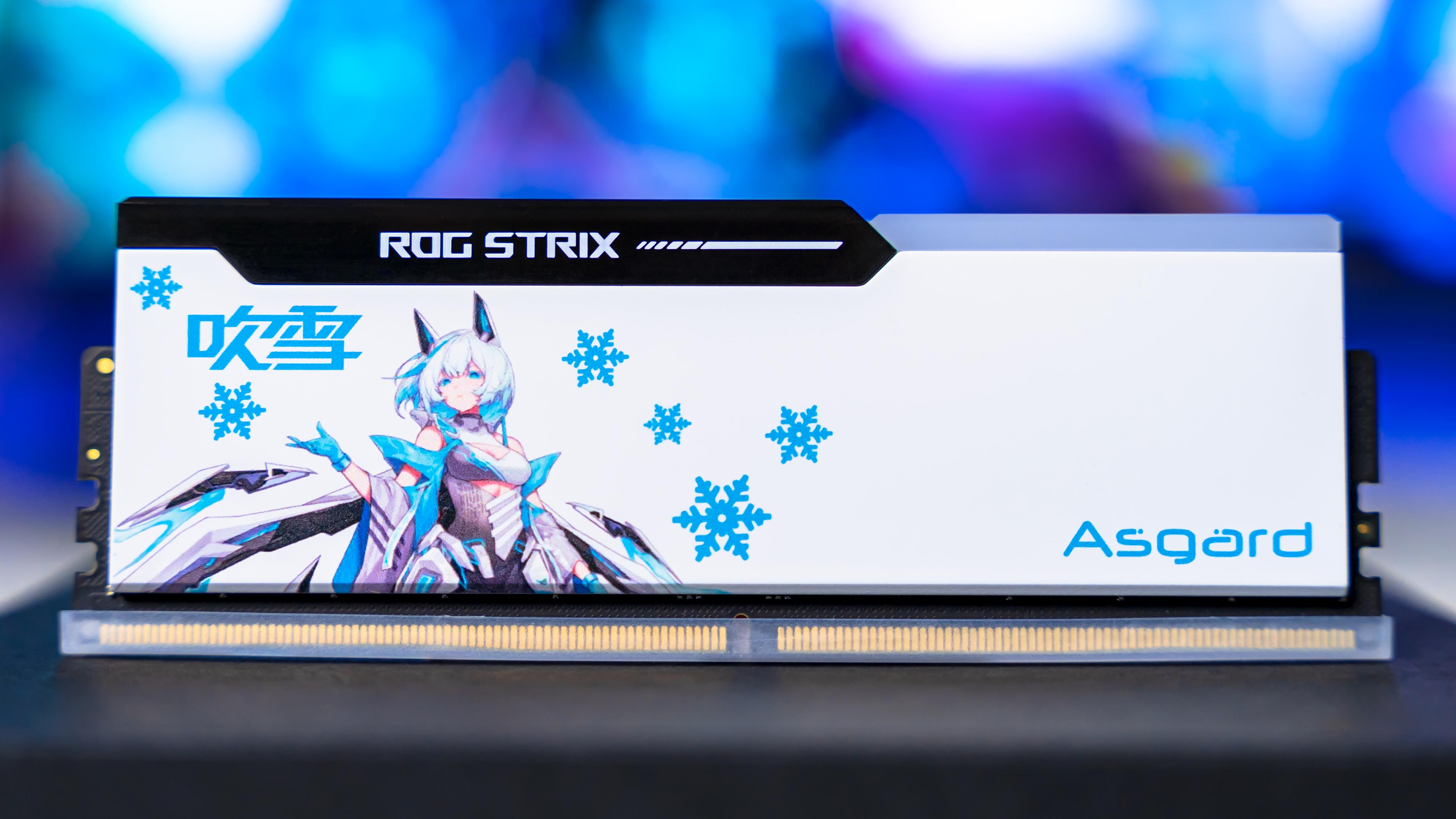 Asgard Bargi ROG STRIX RGB DDR5 6400Mhz Memory (3)
