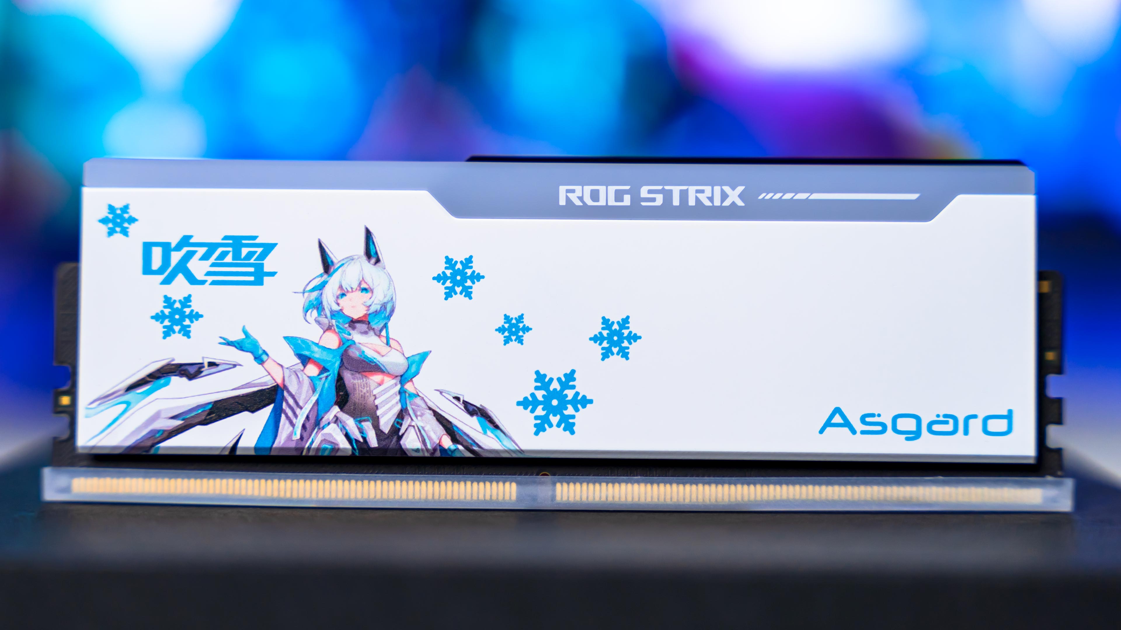 Asgard Bargi ROG STRIX RGB DDR5 6400Mhz Memory (4)