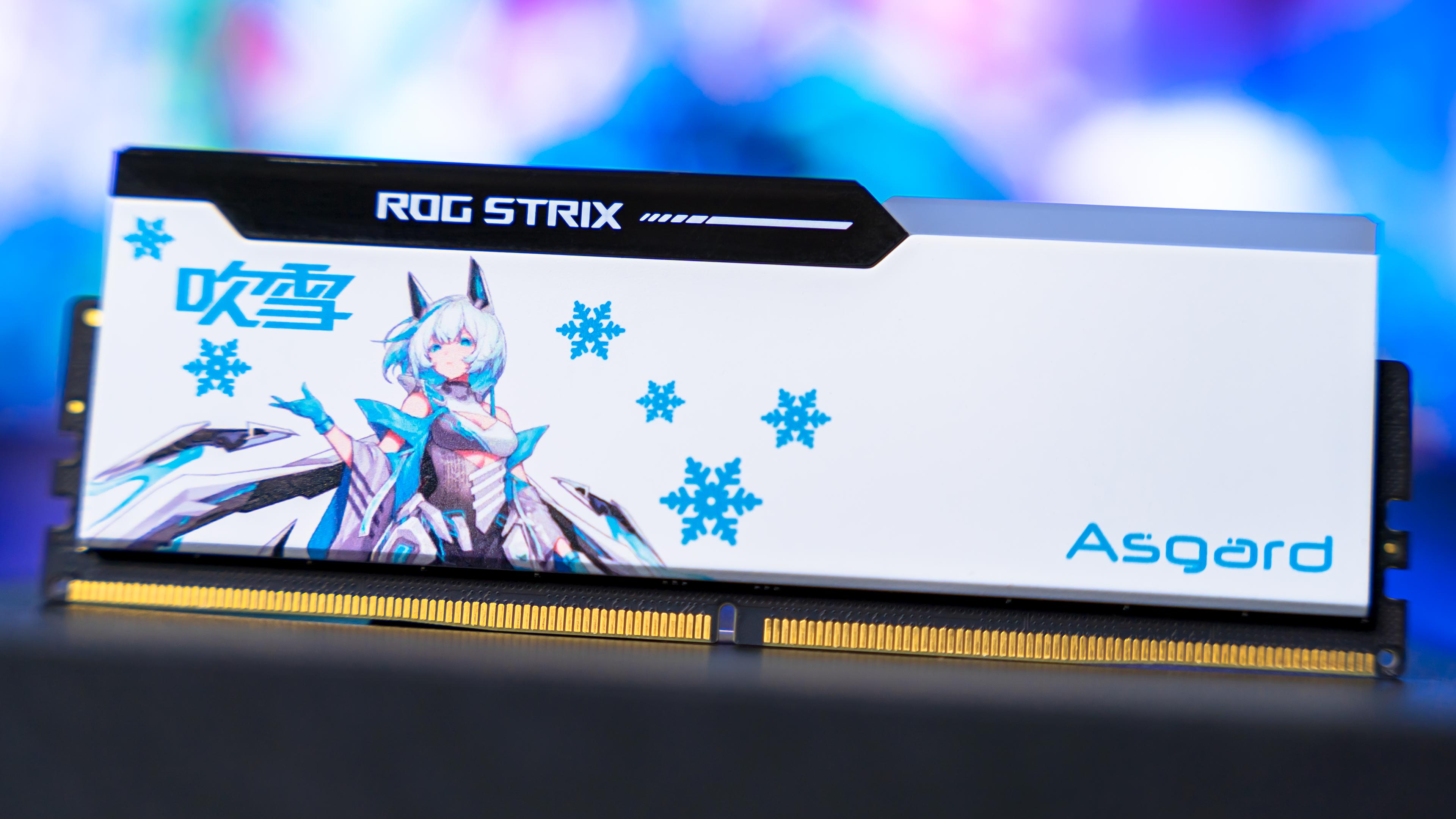 Asgard Bargi ROG STRIX RGB DDR5 6400Mhz Memory (6)