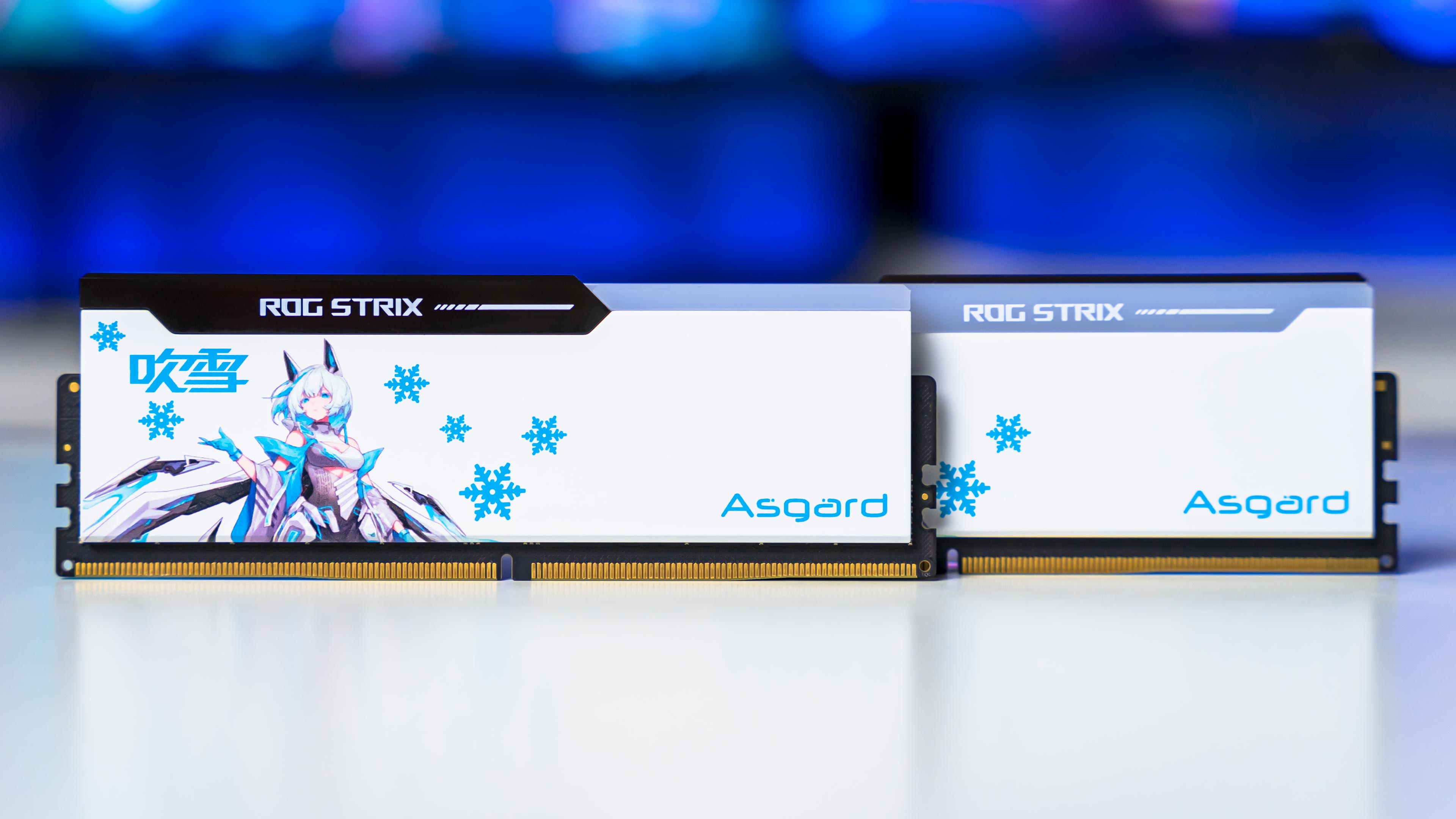 Asgard Bargi ROG STRIX RGB DDR5 6400Mhz Memory (9)