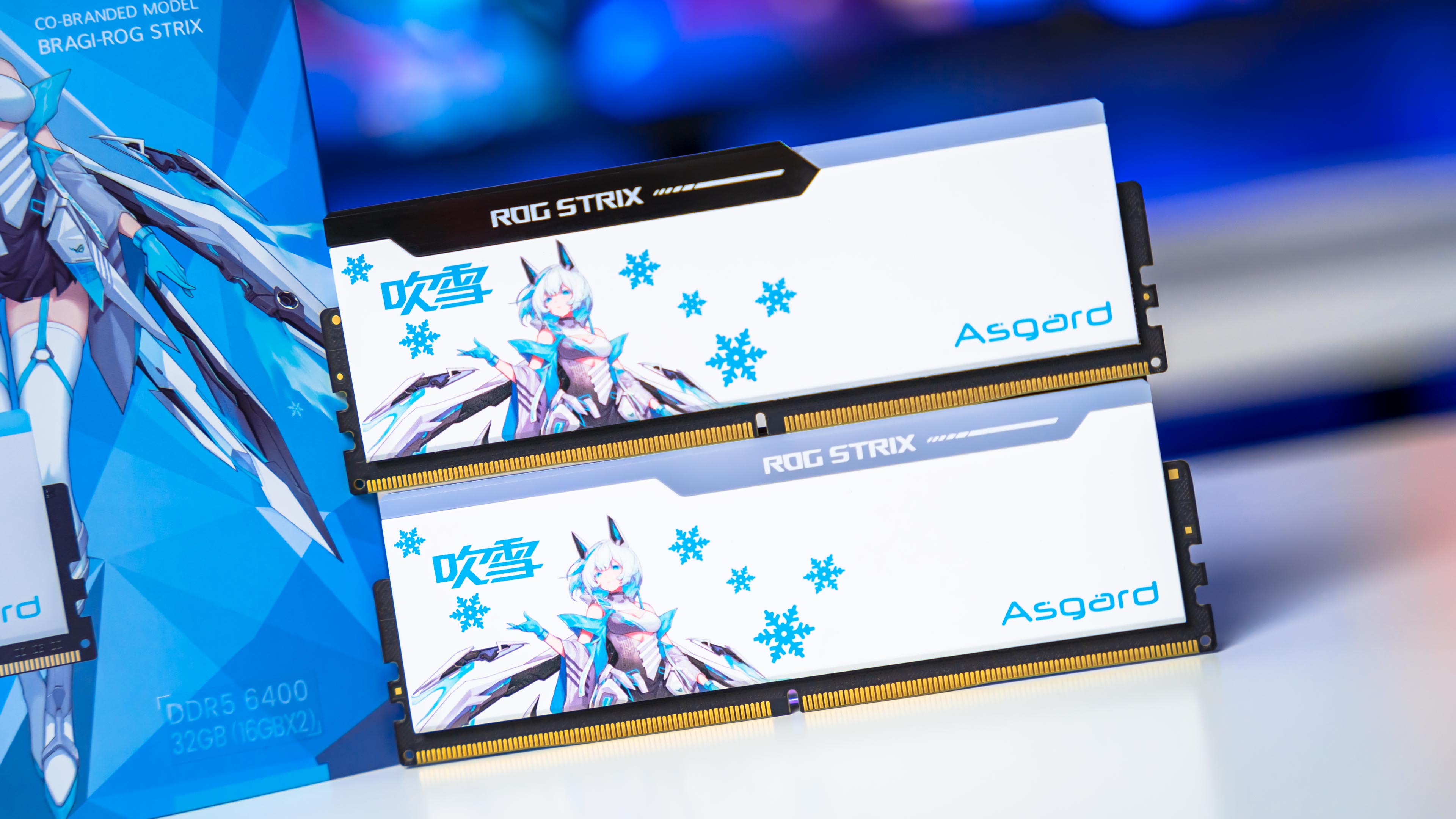 Asgard Bargi ROG STRIX RGB DDR5 6400Mhz Modules