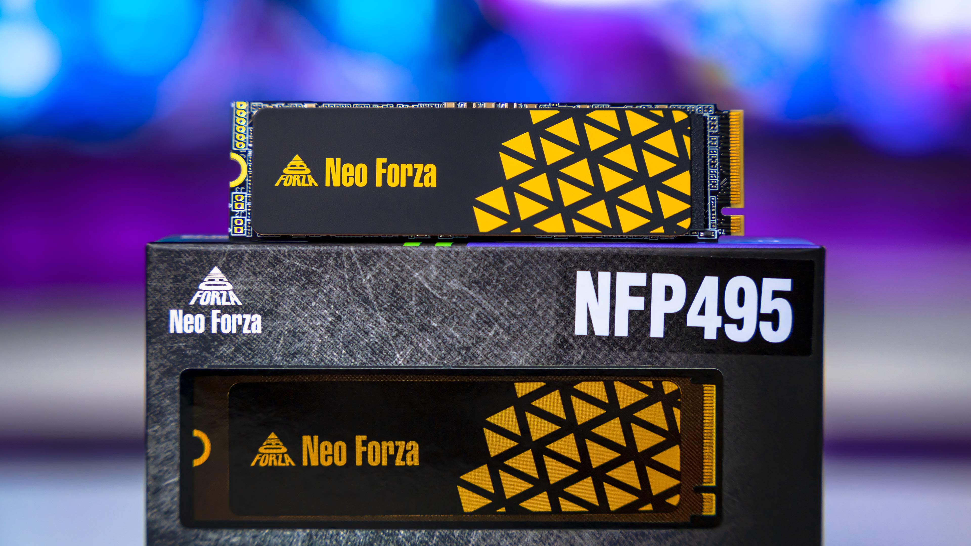 Neo Forza NFP495 4TB