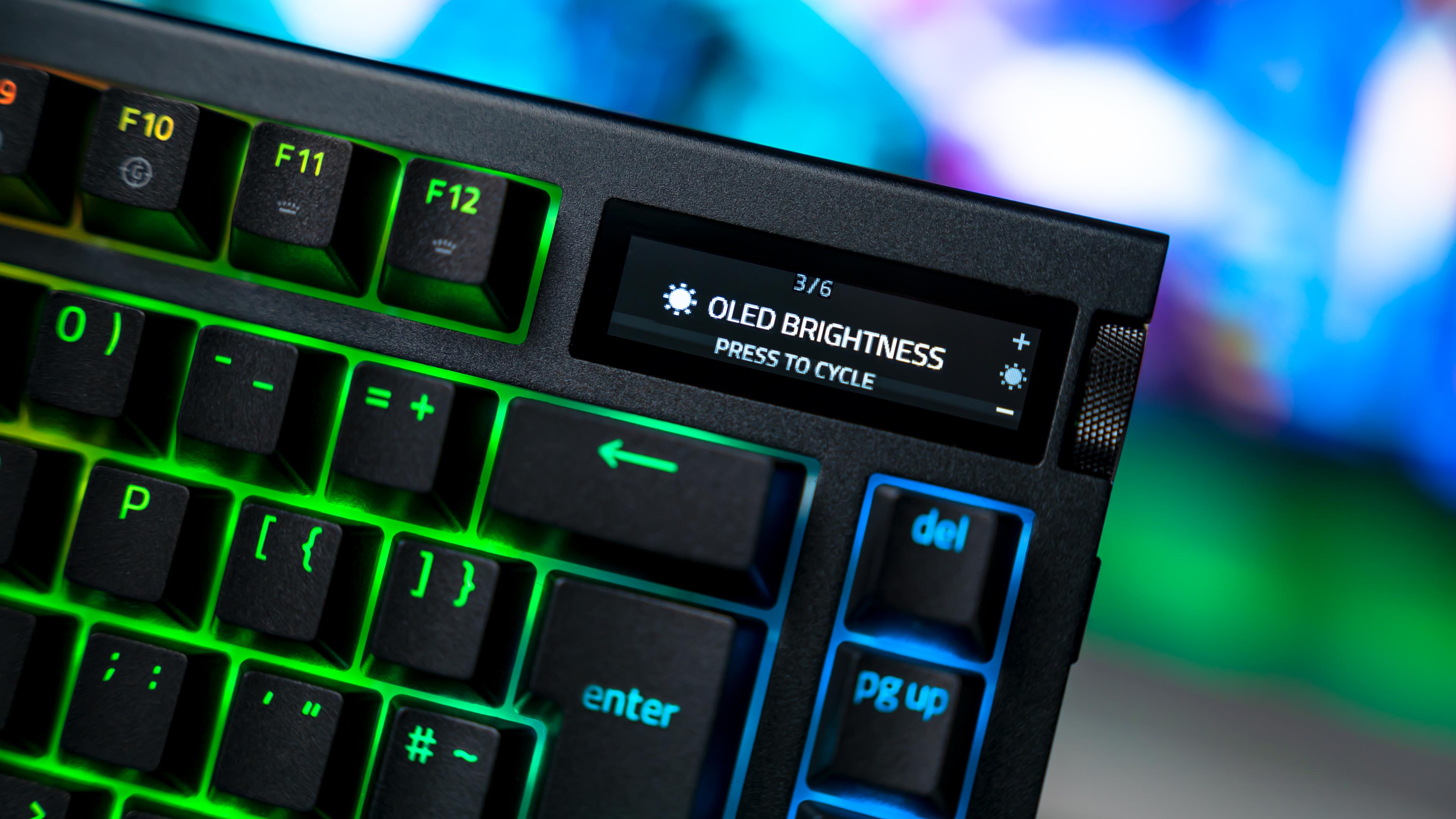 Razer Blackwidow V4 Pro 75 OLED Settings (10)