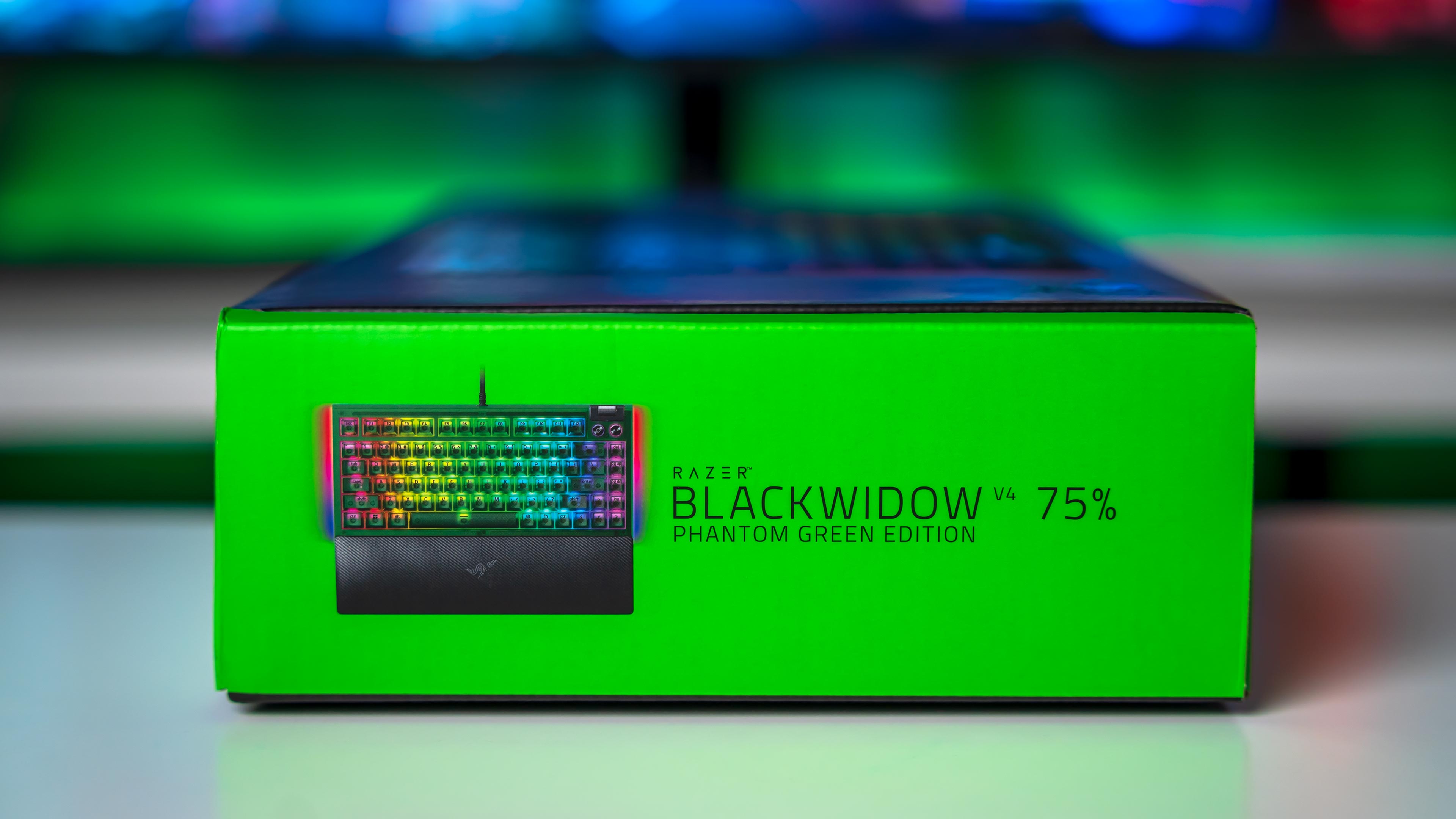 Razer Blackwidow V4 75% Phantom Green Edition Box (4)