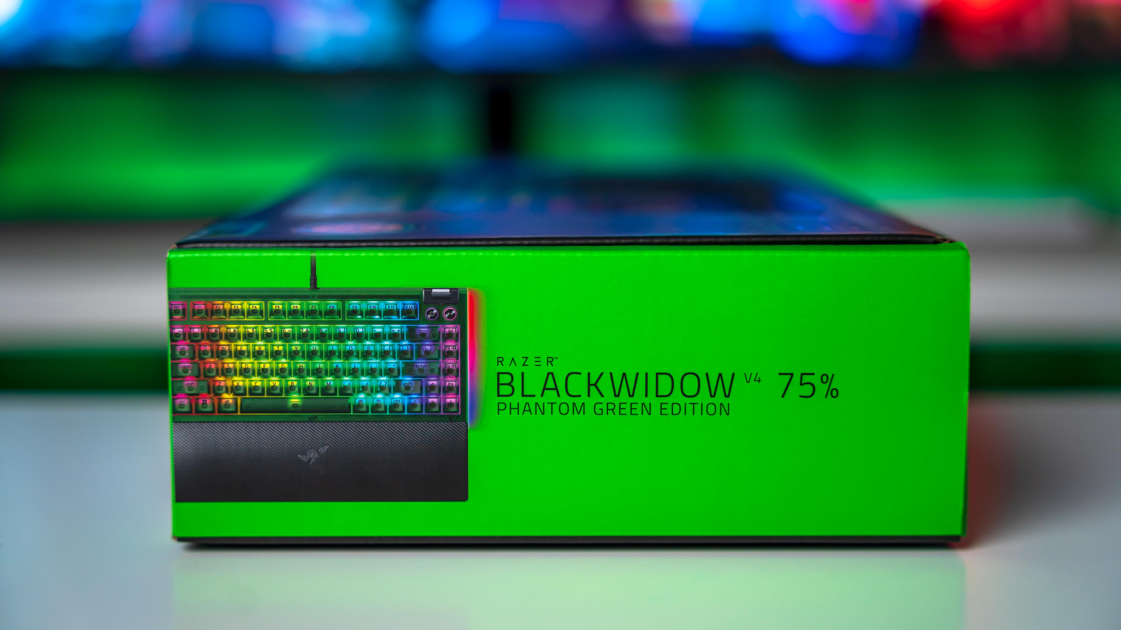 Razer Blackwidow V4 75% Phantom Green Edition Box (5)